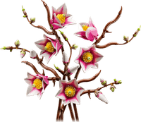 LEGO Botanicals - Branches de Magnolia 11510