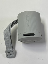Sony SRS-XB100 Grijs