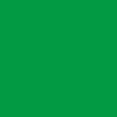 Falcon Eyes Achtergronddoek Chroma Groen 2,9 x 5 m Achtergronddoek