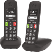Gigaset E290M Duo Vaste telefoon met DECT