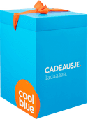 Cadeausje groot (260x260x370) Coolblue fanartikel
