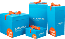 Boite Cadeau Très Grande (580x380x380) Goodie Coolblue