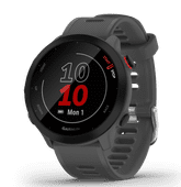 Garmin Forerunner 55 Gris 