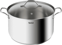 Tefal Intuition Soup Pot 30cm 