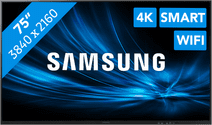 Samsung Flip Pro WM75B Écrans grand format