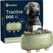 Tractive Tracker GPS Chien XL Vert Traceur GPS