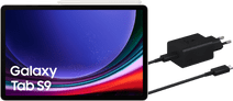 Samsung Galaxy Tab S9 11 inches 256GB WiFi Cream + Charger Pack Samsung Galaxy Tab S9