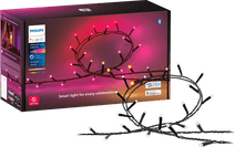 Philips Hue Festavia Guirlande - 20 mètres - 250 LED Éclairage de Noël Philips Hue