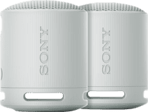 Sony SRS-XB100 Lot de 2 Gris Enceinte Bluetooth avec microphone