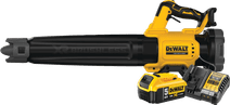 DeWalt 18V XR Axiale 5.0Ah Battery Starter Kit Handheld leaf blower