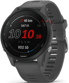 Garmin Forerunner 255 Dark Gray 