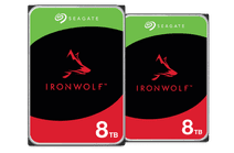 Seagate Ironwolf 8 To - Lot de 2 