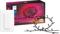 Philips Hue Festavia Light Strip - 20m - 250 LEDs + Philips Hue Dimmer Smart lamp
