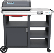 Weber Verve Weber