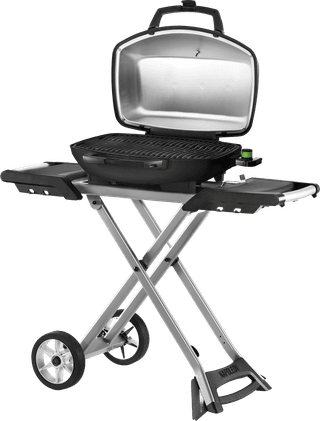 Napoleon TravelQ PRO285X