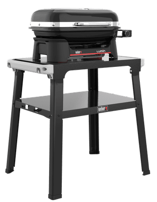 Weber Lumin Compact Noir avec Support