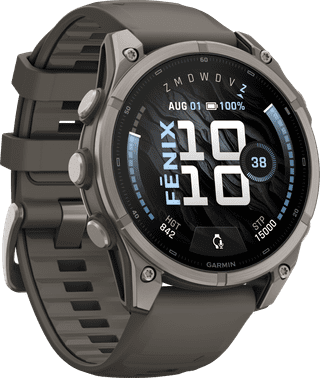 Garmin Fenix 9 Gris 47 mm
