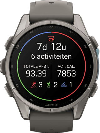 Garmin Fenix 9 Gris 43 mm