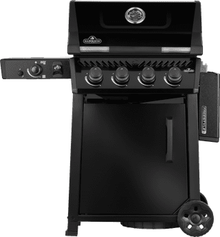 Napoleon Freestyle PRO 425 DSIB
