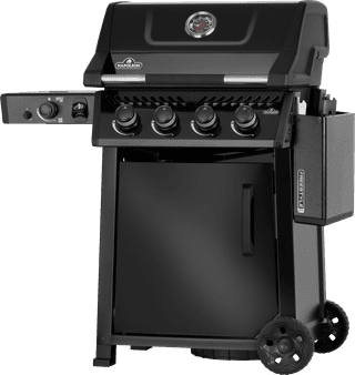 Napoleon Freestyle PRO 425 DSIB