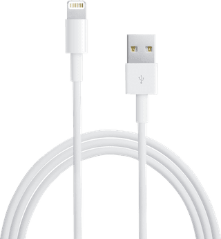 Apple Lightning vers USB-A Câble 1 mètre