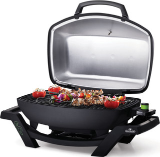 Napoleon TravelQ PRO285E