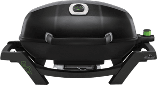 Napoleon TravelQ PRO285E