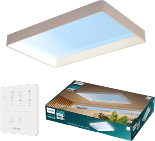 Philips Skylight Daylight Lamp Large