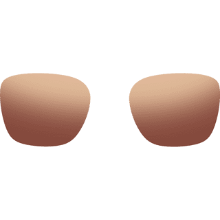 Rokid Photochromic Lens Brown