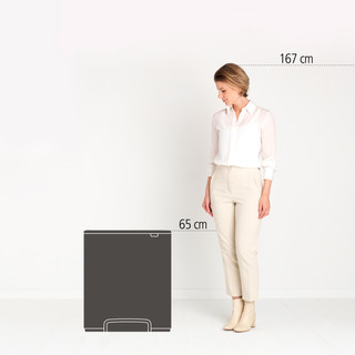 Brabantia Bo Poubelle à Pédale 60 Litres Platine