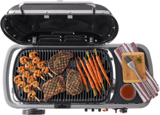 Weber Traveler