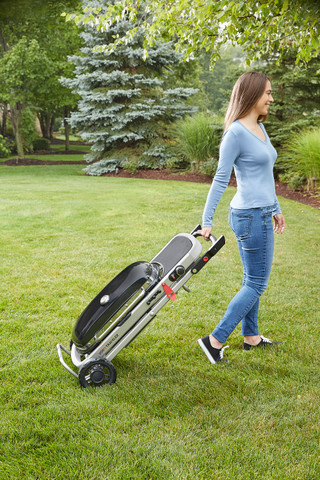 Weber Traveler