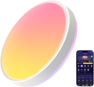 Govee Ceiling Light Pro 15 inch