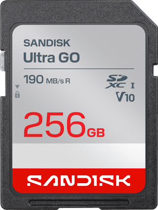 SANDISK Ultra GO SDXC 256GB