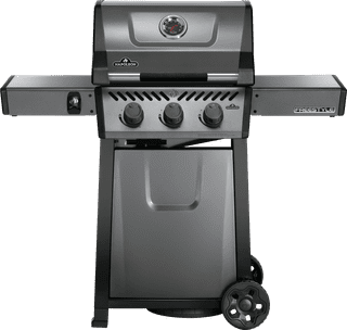 Napoleon Freestyle 365