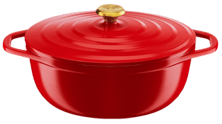 Tefal Air Dutch Oven 30x23cm