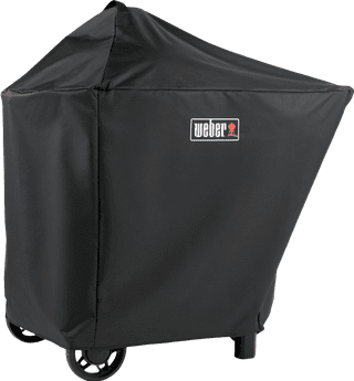 Weber Performer Smart Kit de Démarrage