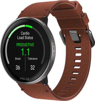 Polar Ignite 3 Titanium/Brown