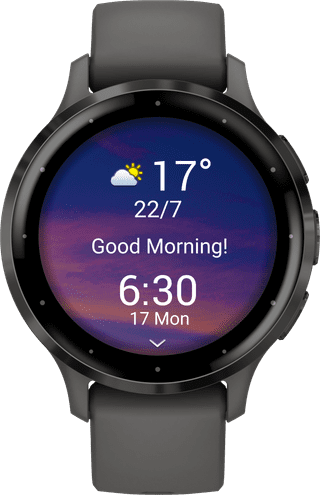 Garmin Venu 3S Black/Gray