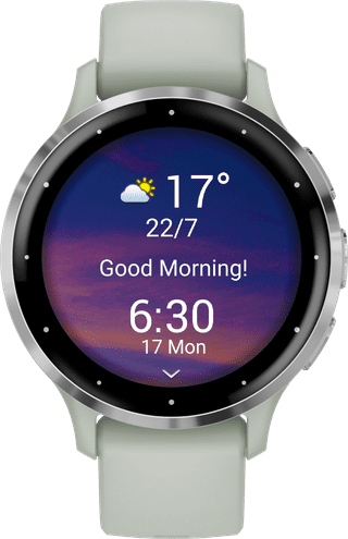 Garmin Venu 3S Silver/Green