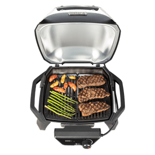 Weber Pulse 1000