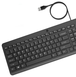 HP 150 Wired Keyboard AZERTY