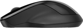 HP 250 Dual Wireless Mouse