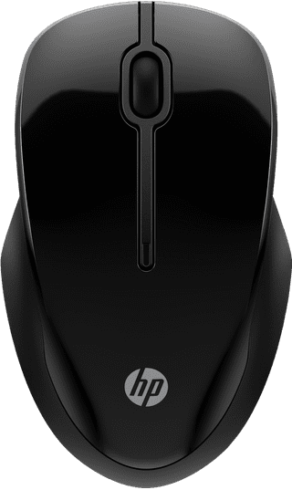 HP 250 Dual Souris Sans Fil