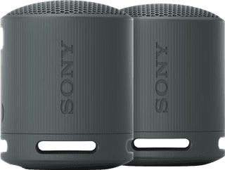 Sony SRS-XB100 Lot de 2 Noir