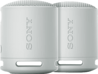 Sony SRS-XB100 Lot de 2 Gris