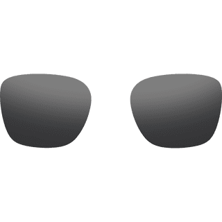 Rokid Photochromic Lens Gray
