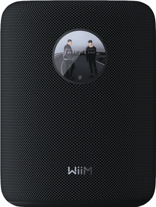 WiiM Sound Zwart