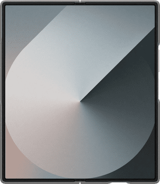 Samsung Galaxy Z Fold 6 Back Cover with S Pen Gray