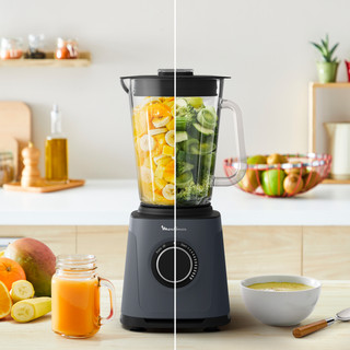 Moulinex PerfectMix Essential LM771BF0